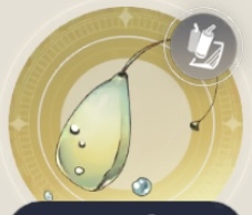 水樹の実の画像