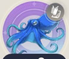 サマータイムオクトパスの画像