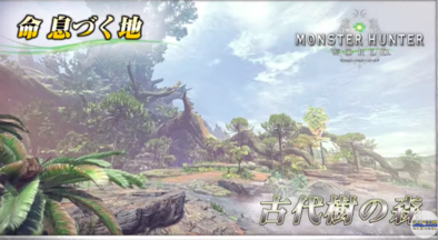 古代樹の森の画像1