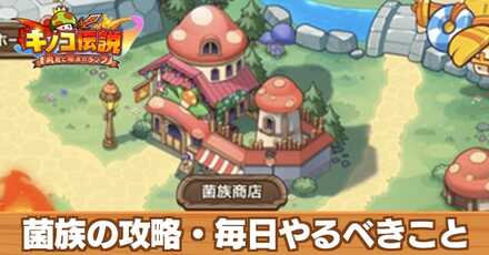 菌族の攻略・毎日やるべきこと