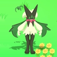 マスカーニャの星2寝顔画像