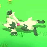 ニャローテの星1寝顔画像