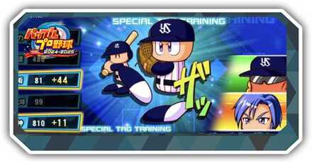 スペシャルタッグ