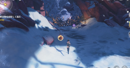 火の実で燃やす