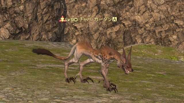 1チャバガーダン