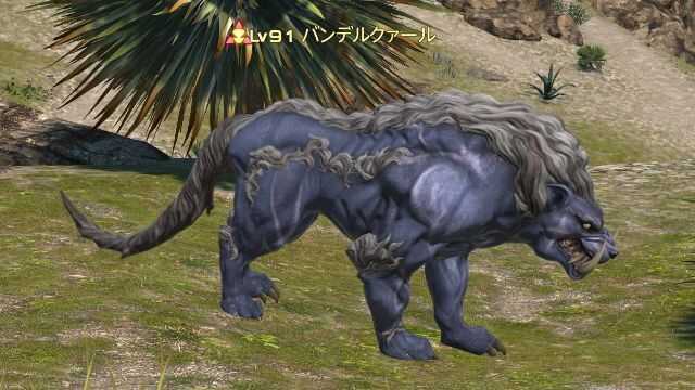 7パンデルクァール