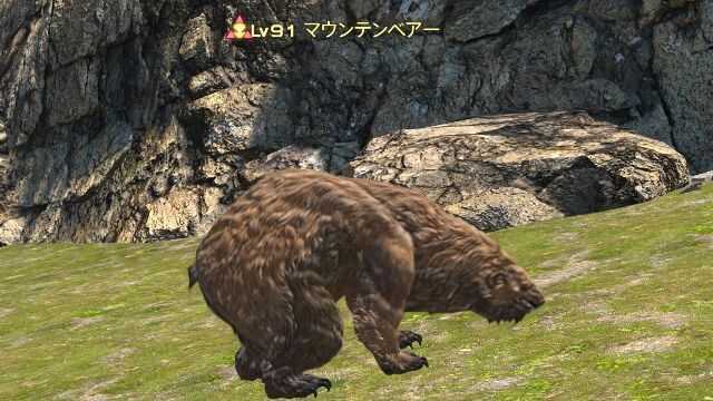 10マウンテンベアー