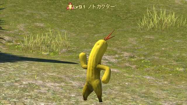 11ノトカクター