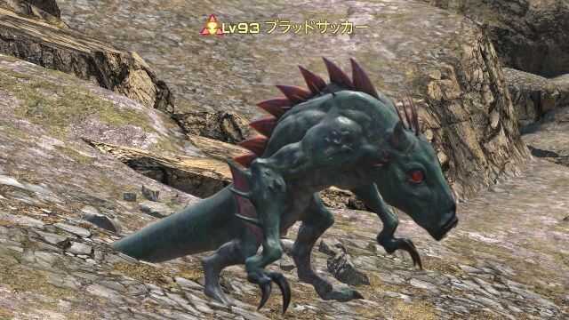 12ブラッドサッカー