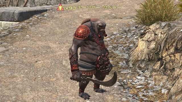 17チーワグーサベラー