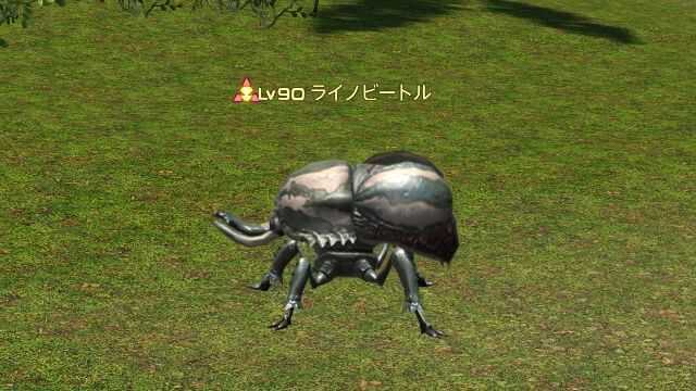 5ライノビートル