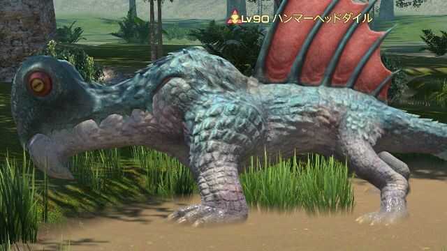 6ハンマーヘッドダイル