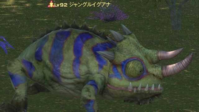 10ジャングルイグアナ