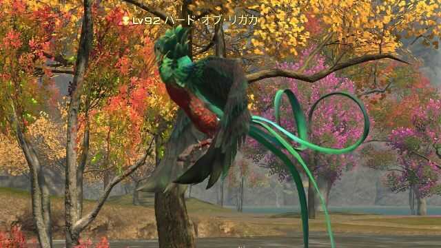 13バードオブリガカ