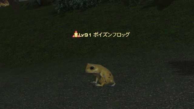 20ポイズンフロッグ