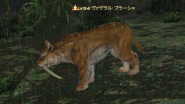 1ヴァザラルブラーシャ