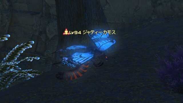 15ジャティーカモス