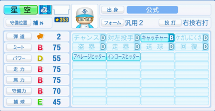 星空星光のステータス画像