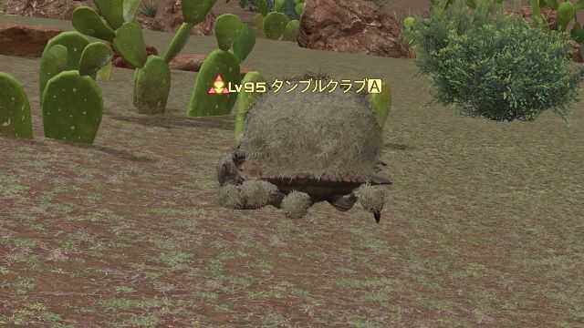 1タンブルクラブ