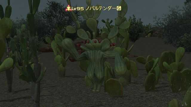 5ノパルテンダー