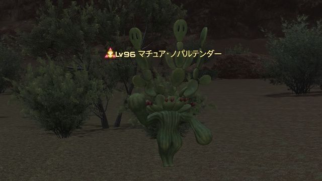 15マチュアノパルテンダー