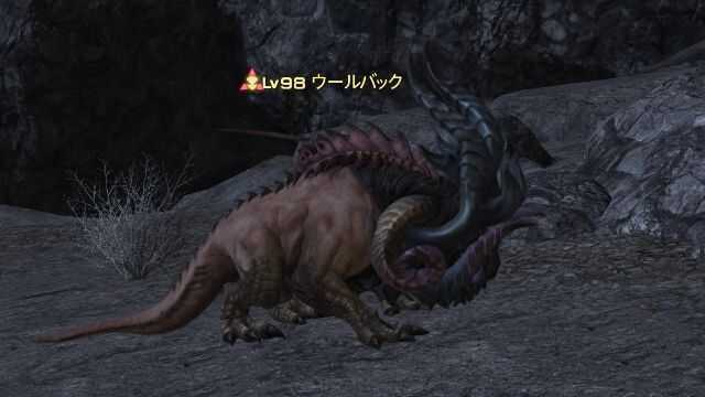 16ウールバック