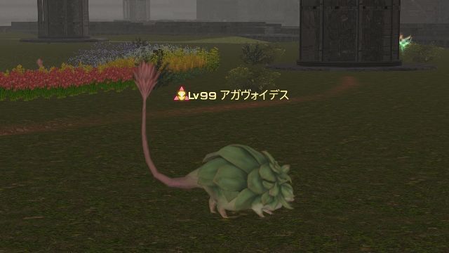 4アガヴォイデス