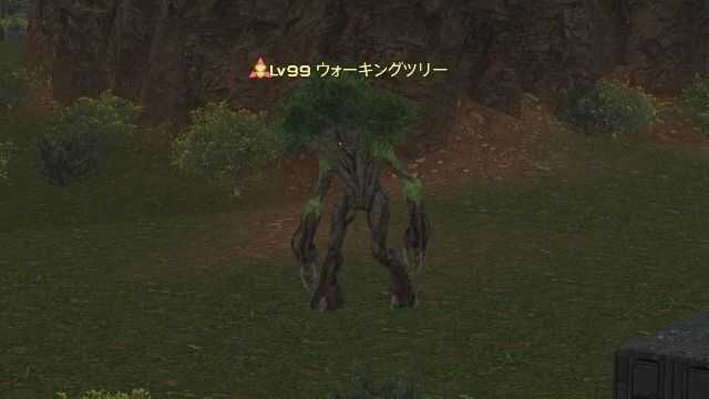 6ウォーキングツリー