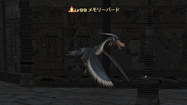 10メモリーバード