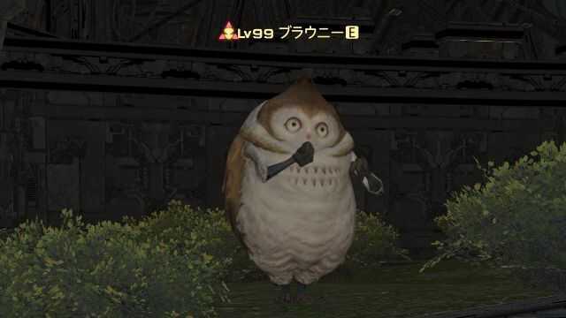 17ブラウニー