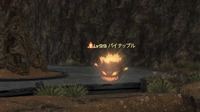 22パイナップル