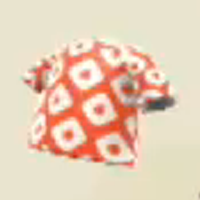 かのこもよう画像