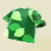 はっぱのふく画像