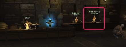 モードゥナバイカラージェム納品証交換NPCの画像