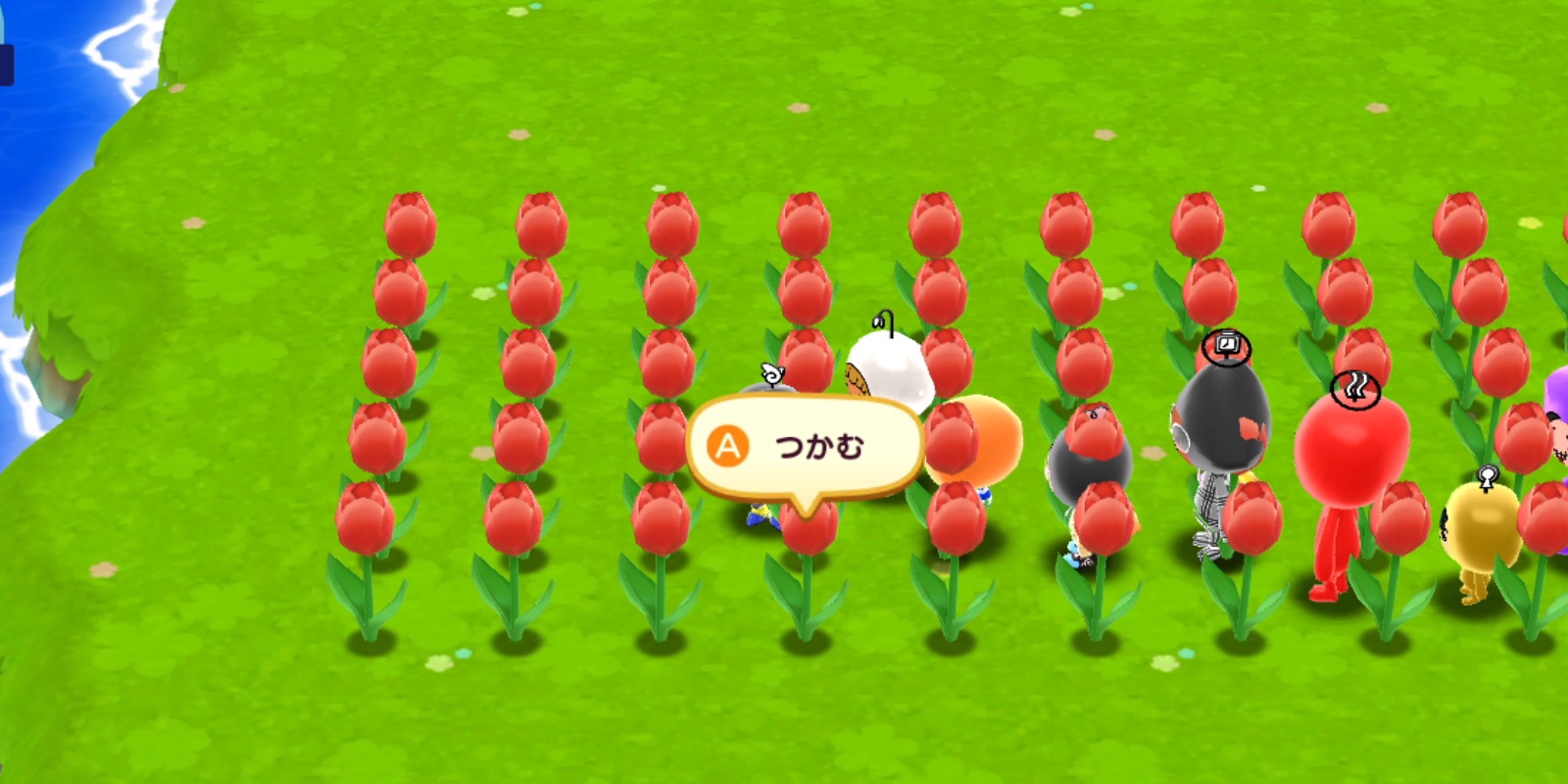 チューリップを回収