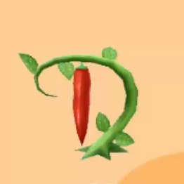 トウガラシ画像