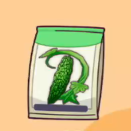 にがうりのたね画像