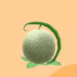 メロン画像