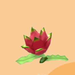 ドラゴンフルーツ画像