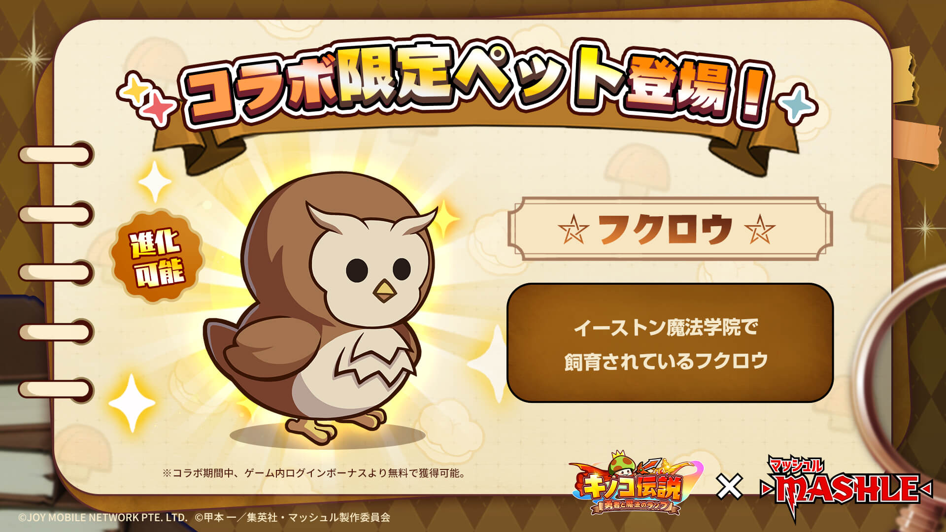 コラボ限定ペット「フクロウ」が入手可能