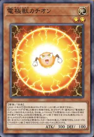 電極獣カチオン画像