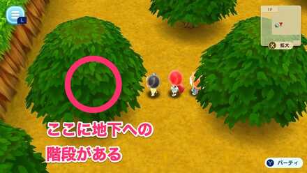 ごちそうゲット