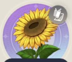 サマータイムフラワーの画像