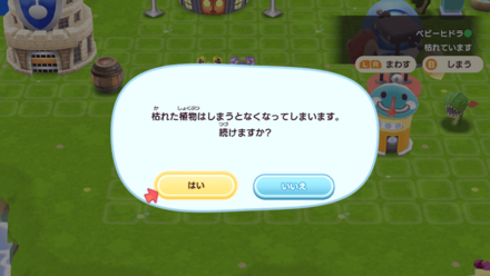 枯れた場合は水やり