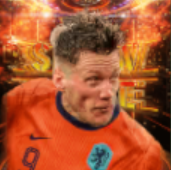 STヴァウトヴェフホースト(08/01)画像