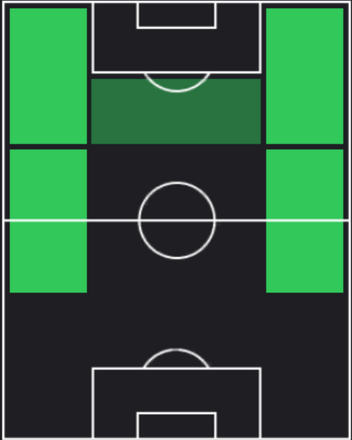 HPドディ・リュケバキオ(08/01)の適性ポジション