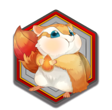 ドングリス画像