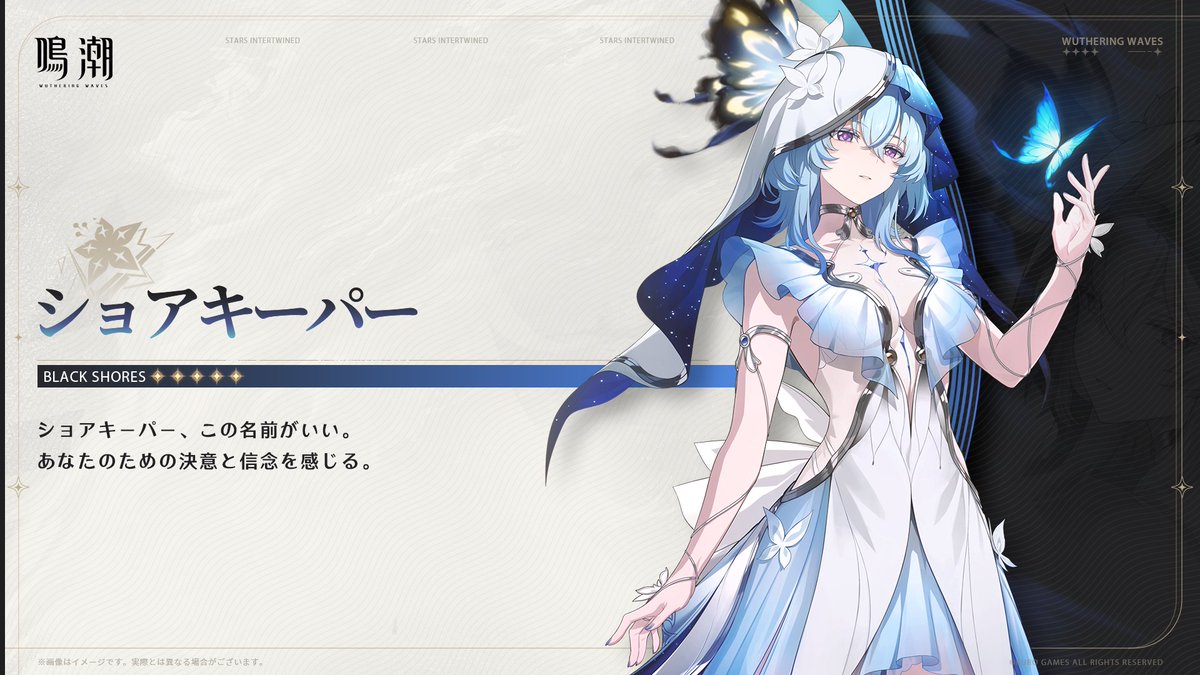 ショアキーパー画像