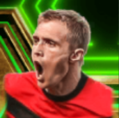 EPダレンフレッチャー(マンチェスターU/09-10)画像