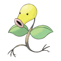 マダツボミ画像